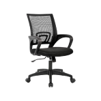 Ergonomic Chairs